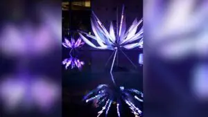 LOTUS exhibit on display