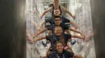 Naperville kids represent Team USA at the Obstacle Course Racing World Championships
