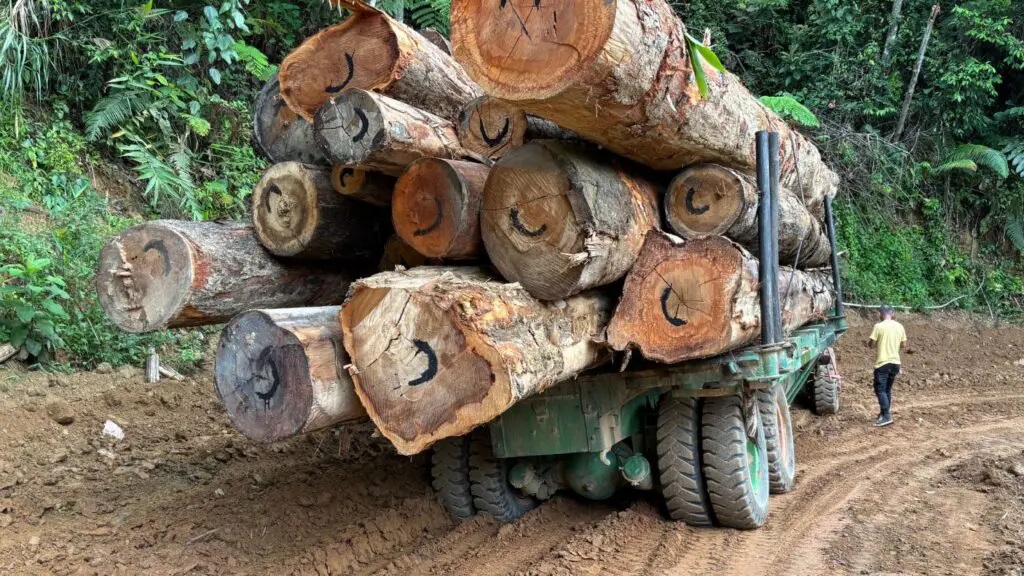 Logging truck in Malaysia