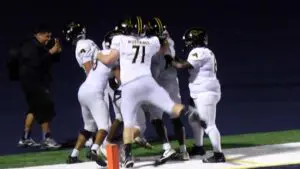 Charlie Larson hauls in game-winning touchdown for Metea Valley.