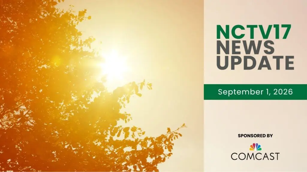 hot sun through trees with news update graphic