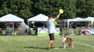 A man holds out a yellow frisbee for a dog to jump and catch