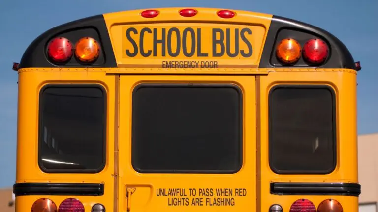 Close up back of school bus