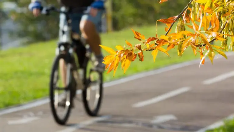 Man riding a bicycle on a bike path on a fall day