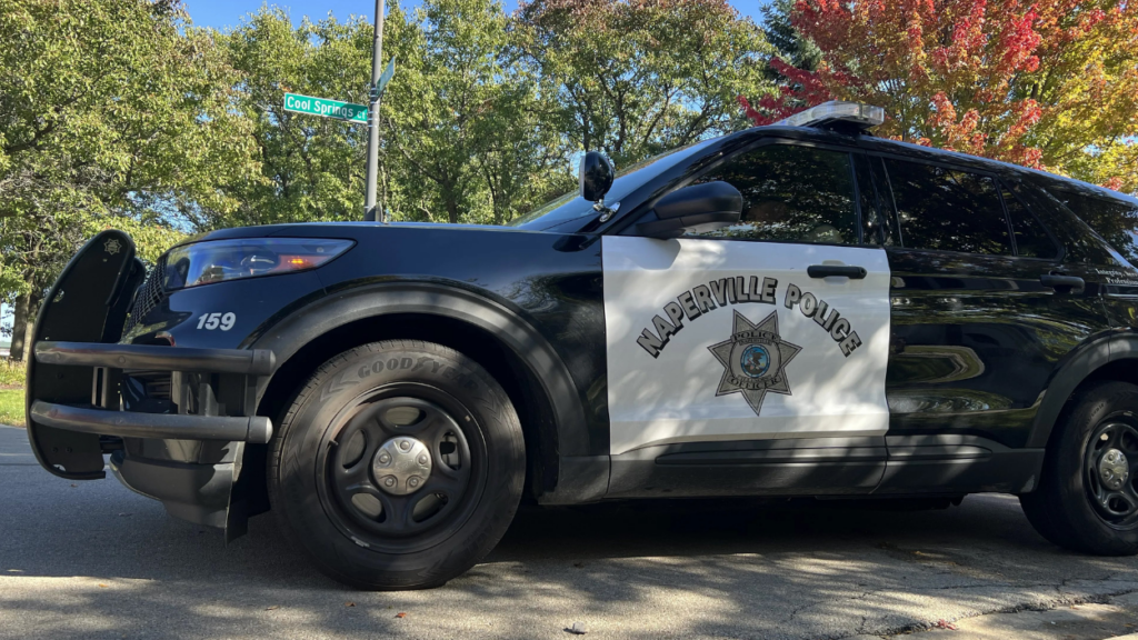 Side view of Naperville Police squad car