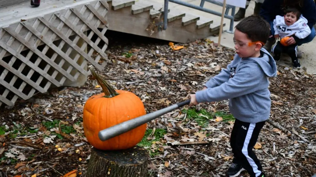 A kid uses a baseball bat to smash his pumpkin
