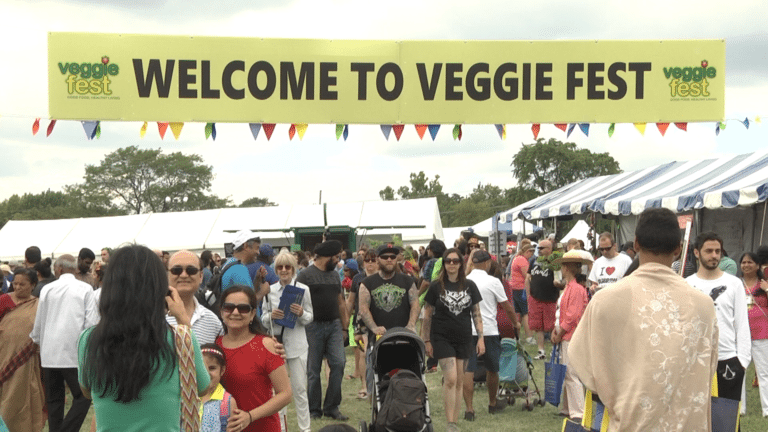 VeggieFest Entrance Still Still002