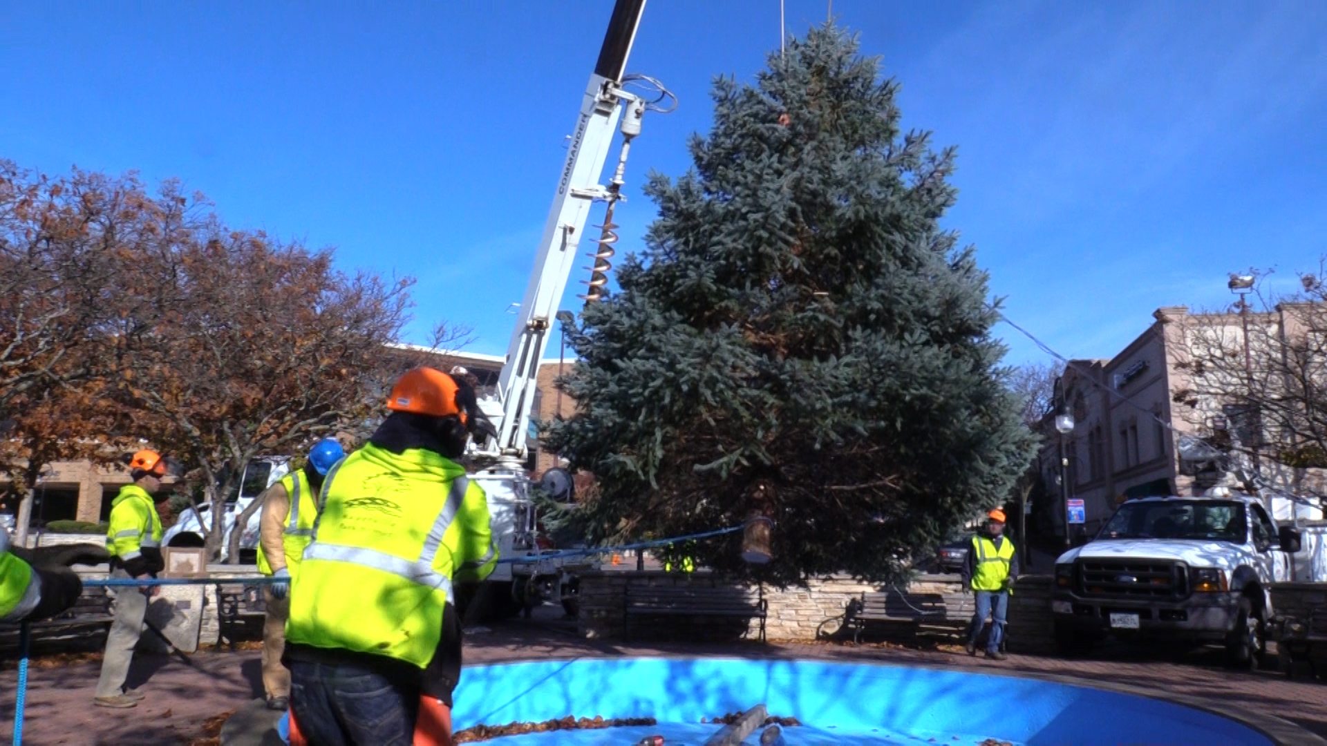 Naperville Park District Christmas Tree NCTV17