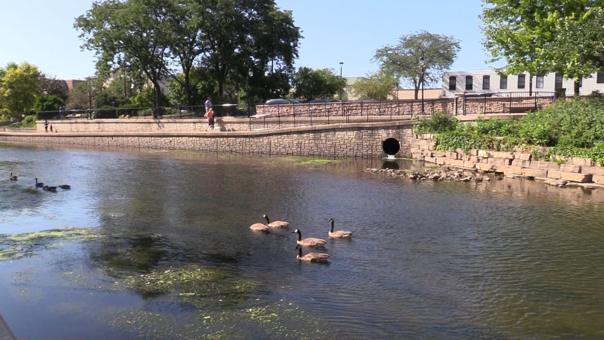 Potential Changes to The Naperville Riverwalk