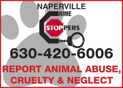 Naperville Crime Stoppers. Report Animal Abuse, Cruelty or Neglect