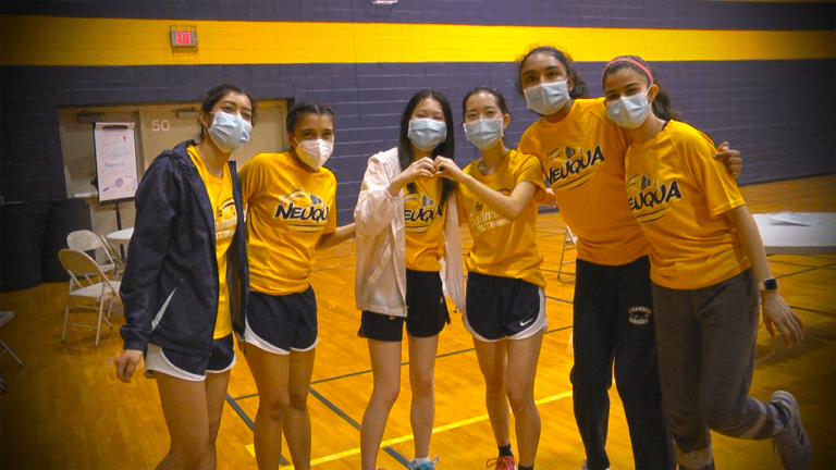 Neuqua Valley Badminton