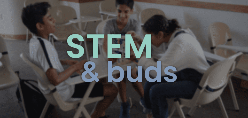 STEM & Buds