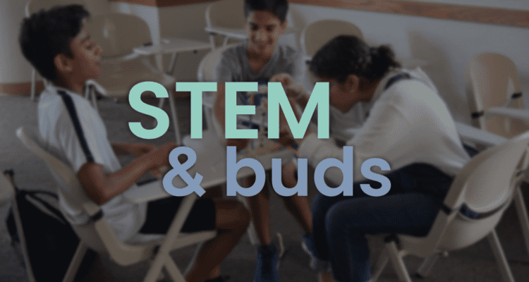 STEM & Buds