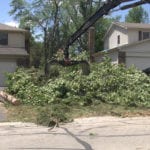 City Helps Naperville Tornado Cleanup Efforts With Crews, Special Collection