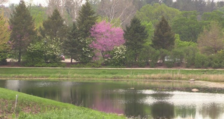 Morton Arboretum Working to Replace Trees Lost From Tornado 750x400