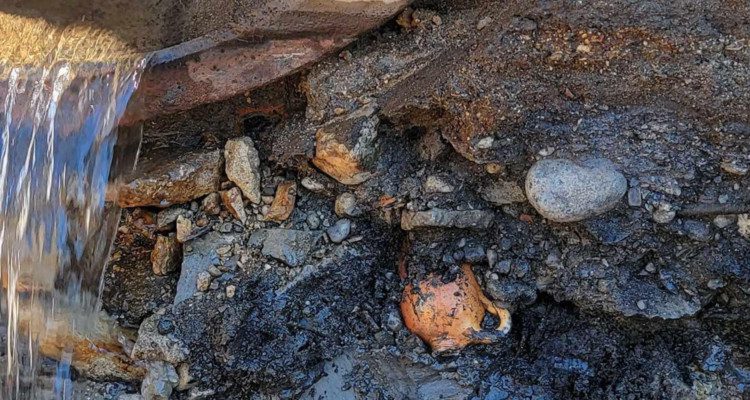 Antique Mineral Water Bottle Found During Downtown Naperville Construction