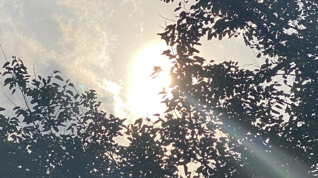 Safety Tips For Extreme Heat Expected For Naperville Area This Week