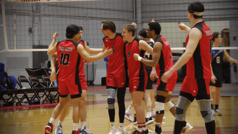 Cardinals volleyball players cheer after winning a point