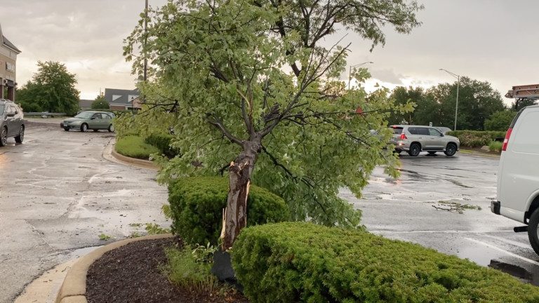 Why Naperville Residents Didn