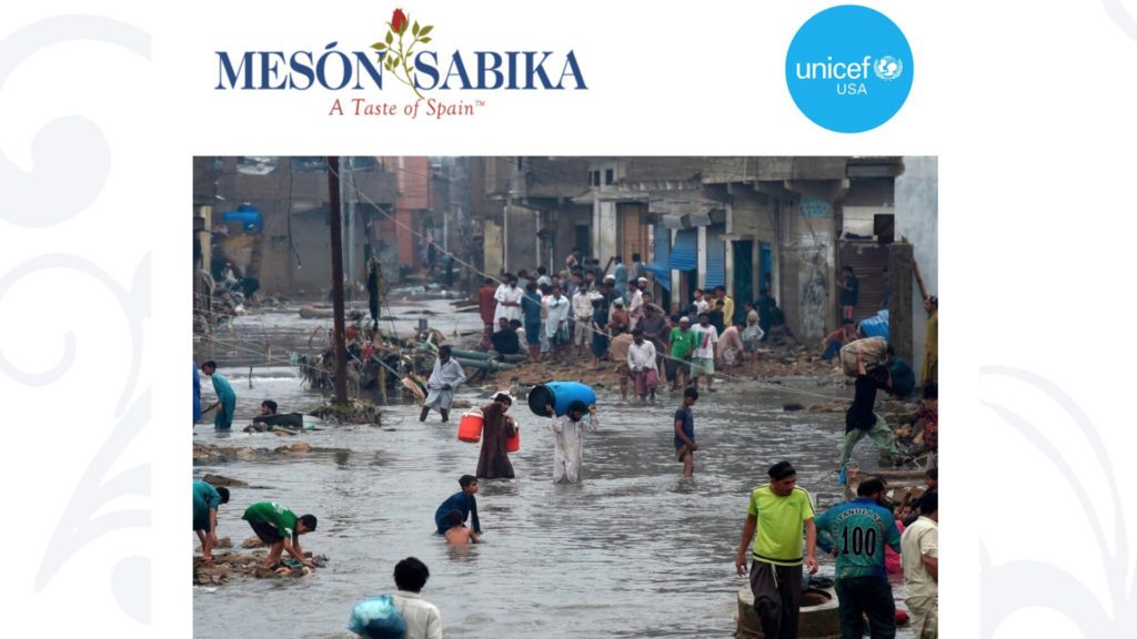 screenshot from Meson Sabika website showing photo of Pakistan flood victims and fundraiser to benefit