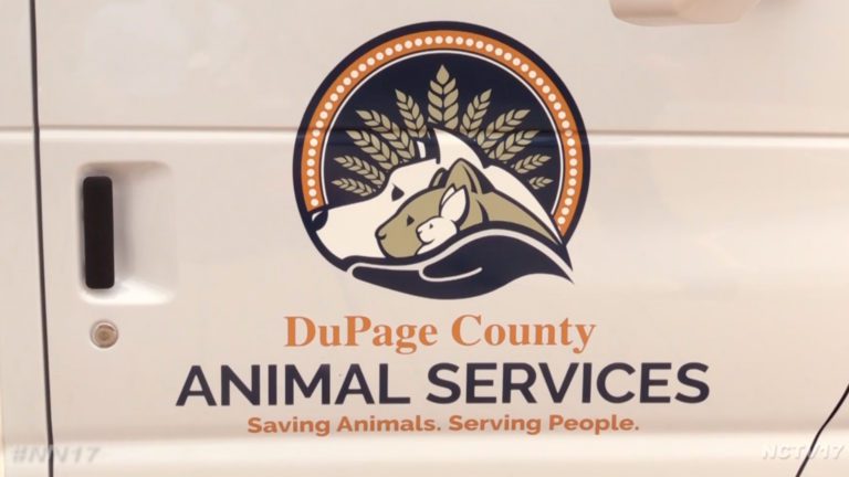 DuPage County Animal Services logo on side of vet van