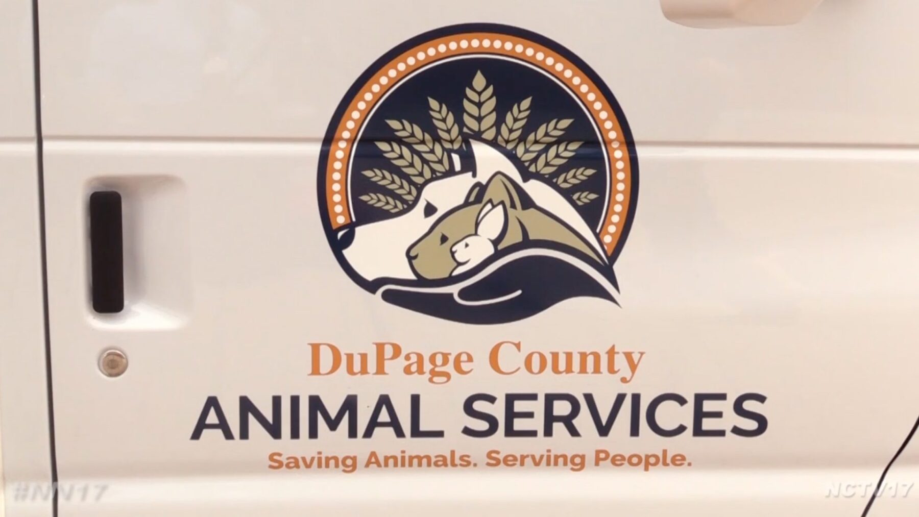 DuPage County Animal Services Holds Large Dog NoFee Adoption Event
