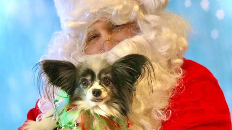 Lizzy's Fund Supports Senior Dogs