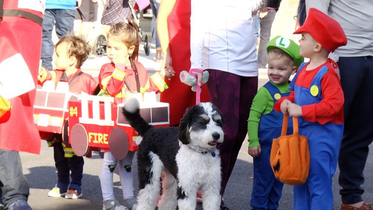 Kids and their dog at the Halloween hop