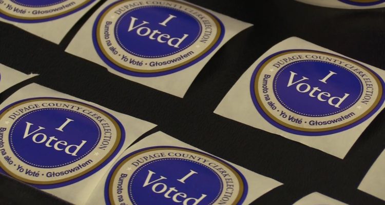 14 Naperville Residents Ask for Your Vote