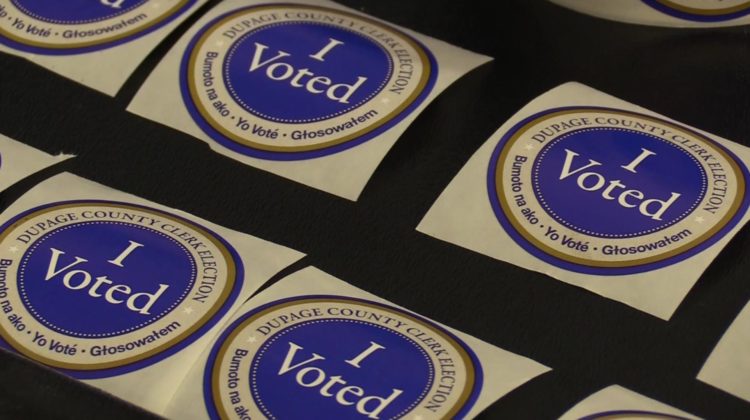 14 Naperville Residents Ask for Your Vote