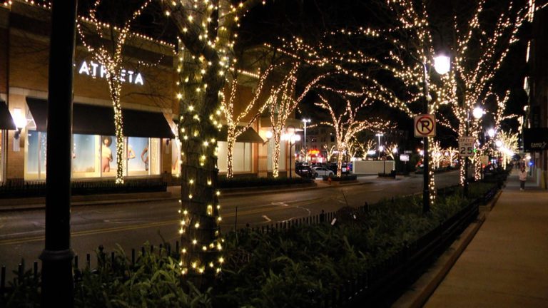 Lights on the trees