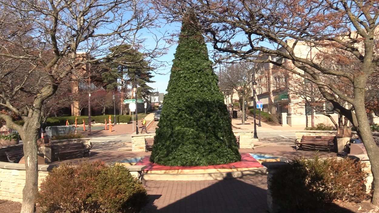 Naperville Park District Sets Up Dandelion Fountain Holiday Tree