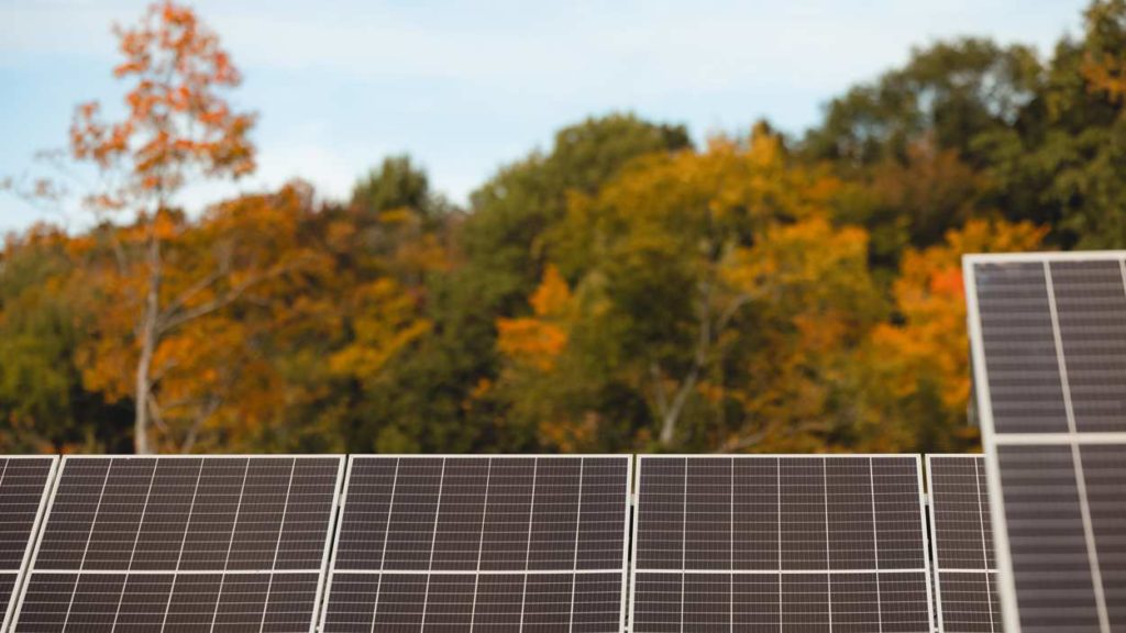 Solar Power array with trees in background