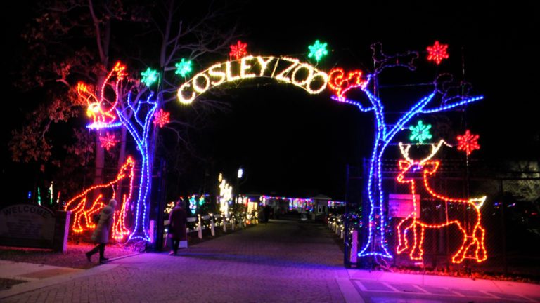 Lights at the Cosley Zoo