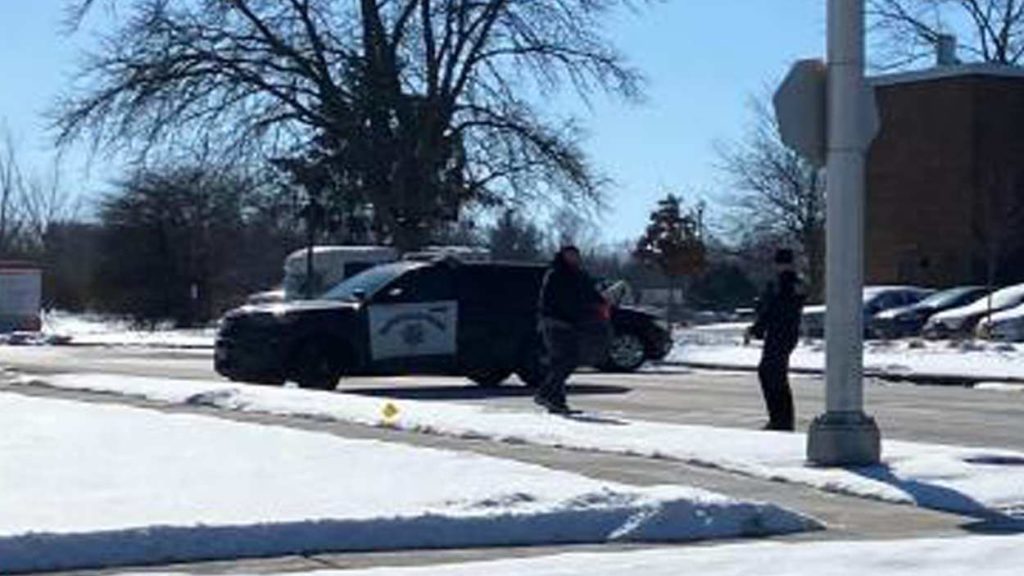 Naperville police officers stand outside squad car at scene in Naperville where a pedestrian was struck by a car