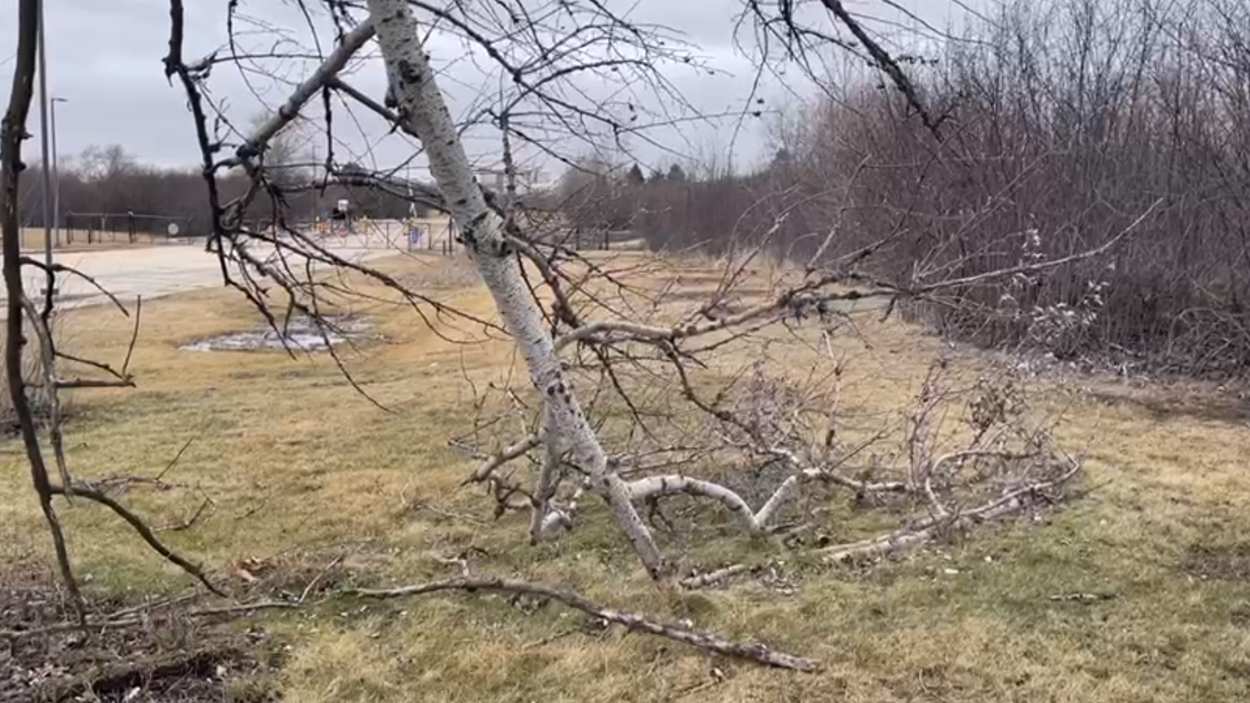 Brief tornado touchdown in Naperville says National Weather Service ...