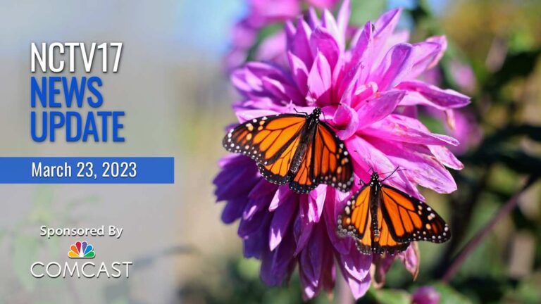 NCTV17 News Update slate for 03-23-23, with two butterflies on flower in background