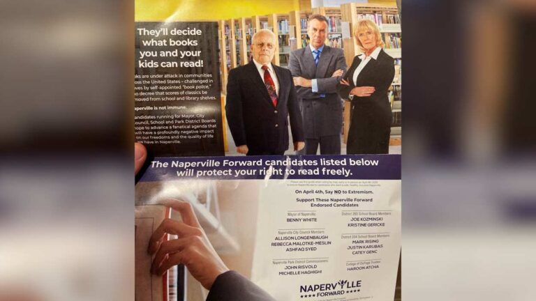 Naperville Forward campaign mailer
