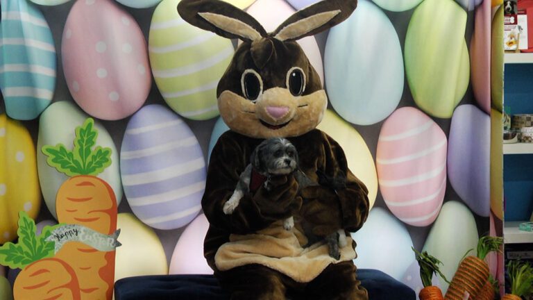 Pet lover's get photos with pets taken for Easter at Two Bostons.