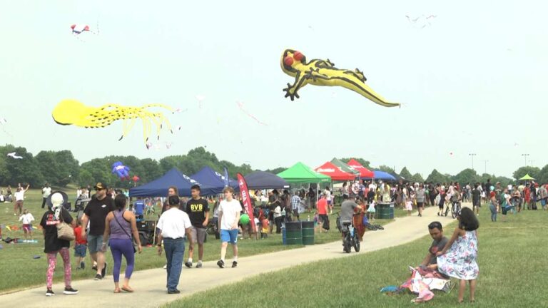 Giant kites fly overhead at Kite Fly in Naperville.