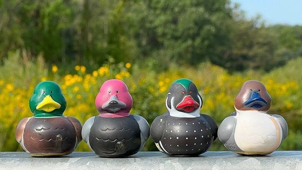 Rubber ducks