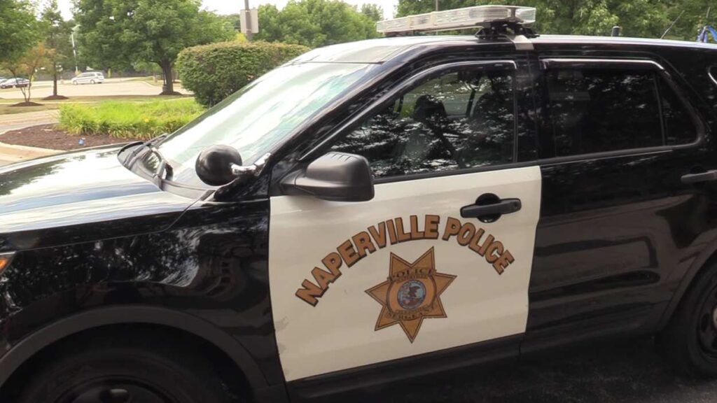 File image of Naperville police car