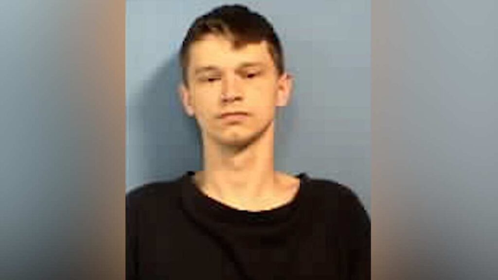 Naperville man John Gray accused in hit-and-run