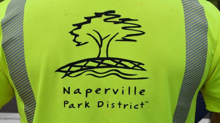 Person wearing a green Naperville Park District vest
