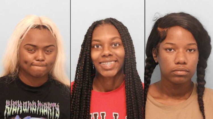 Mugshots of three women charged in thefts at beauty stores
