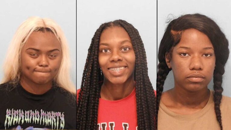 Mugshots of three women charged in thefts at beauty stores