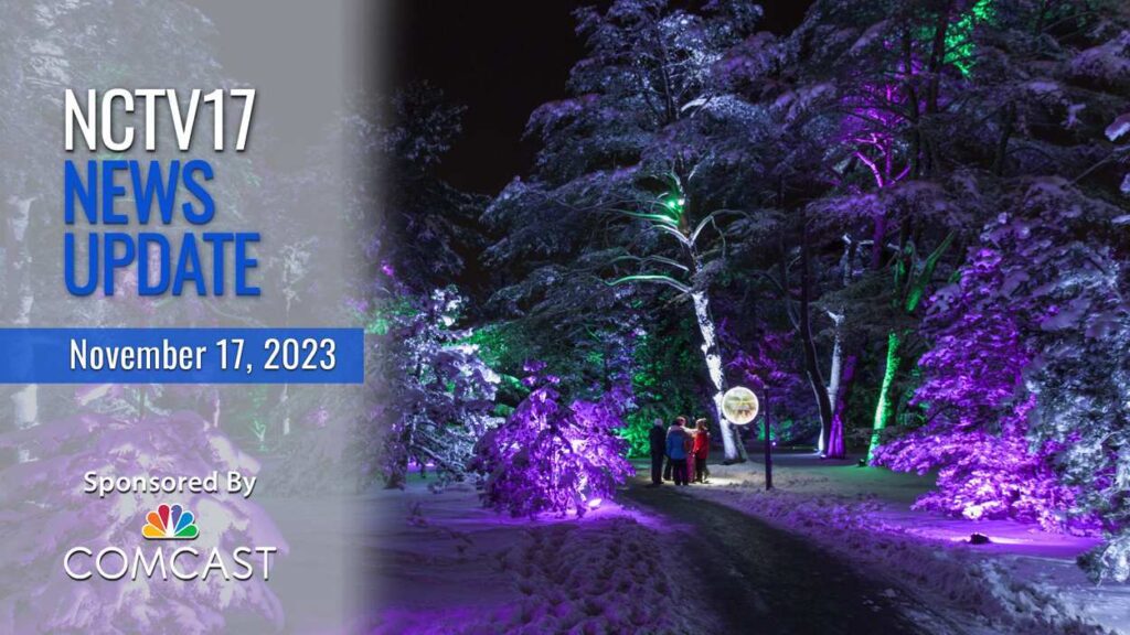 People walking through lit trees on path at Morton Arboretum's Illumination