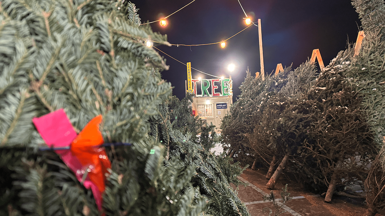 Naperville scout troops help deck the halls with Christmas tree sales