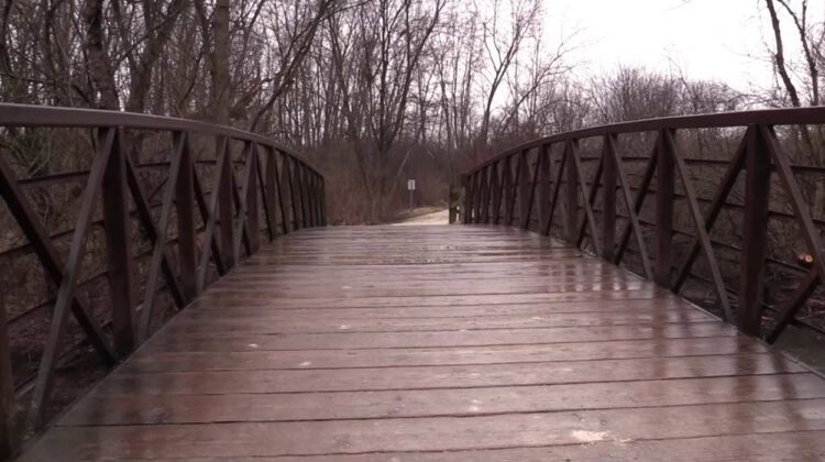 Bridge within a forest area of the Forest Preserve District of DuPage County