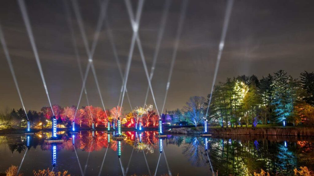 Photo of lit up trees and water at Morton Arborteum's Illumination